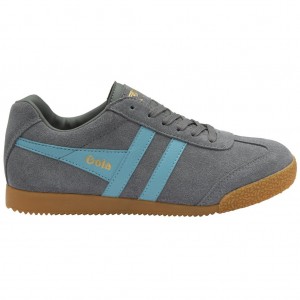Gola Classics Harrier Suede Sneakers Ash Ocean Norge | BMUAZL-623