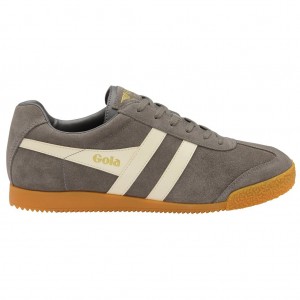 Gola Classics Harrier Suede Sneakers Ash Ecru Norge | JFSXNB-073
