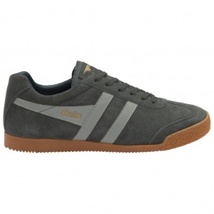 Gola Classics Harrier Suede Sneakers Lyse Grå Marineblå Norge | MZIOGR-921